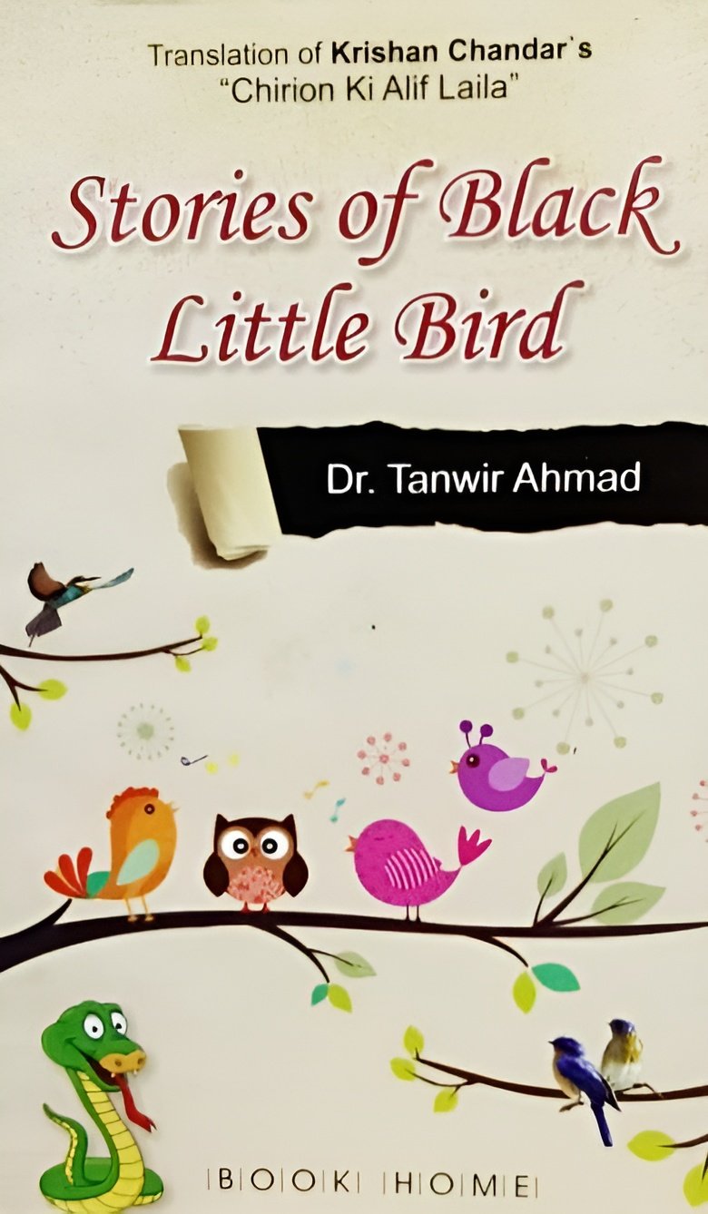 Stories of Black Little Bird