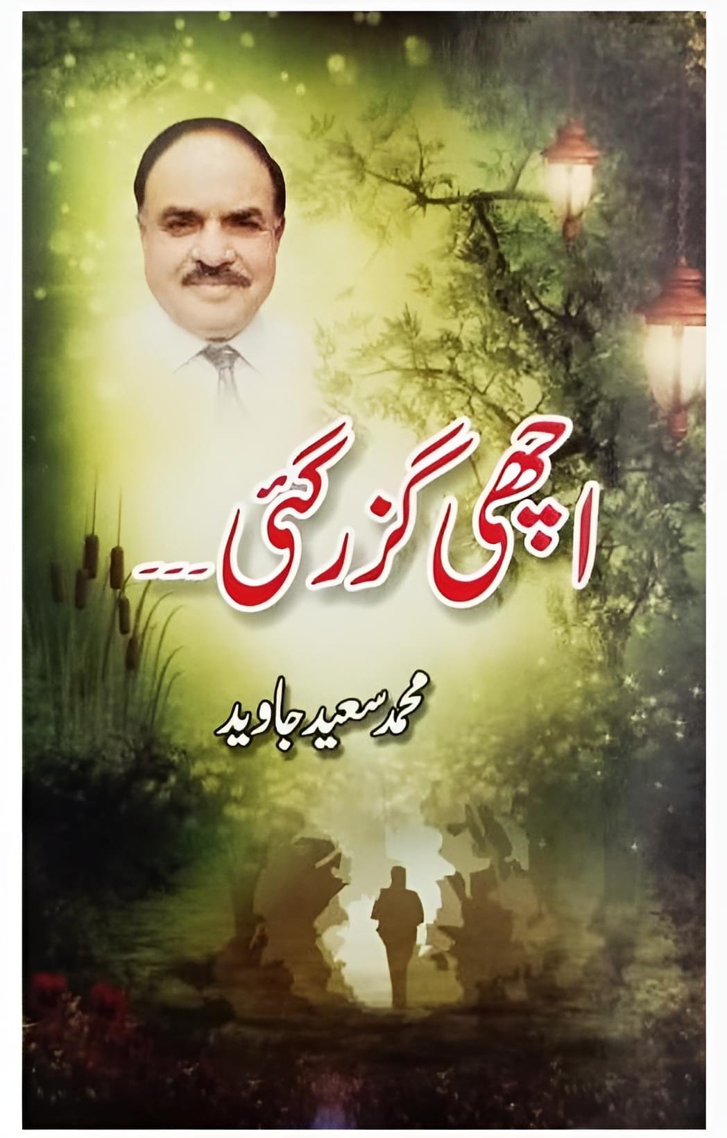Novel: Achi Guzar Gayi